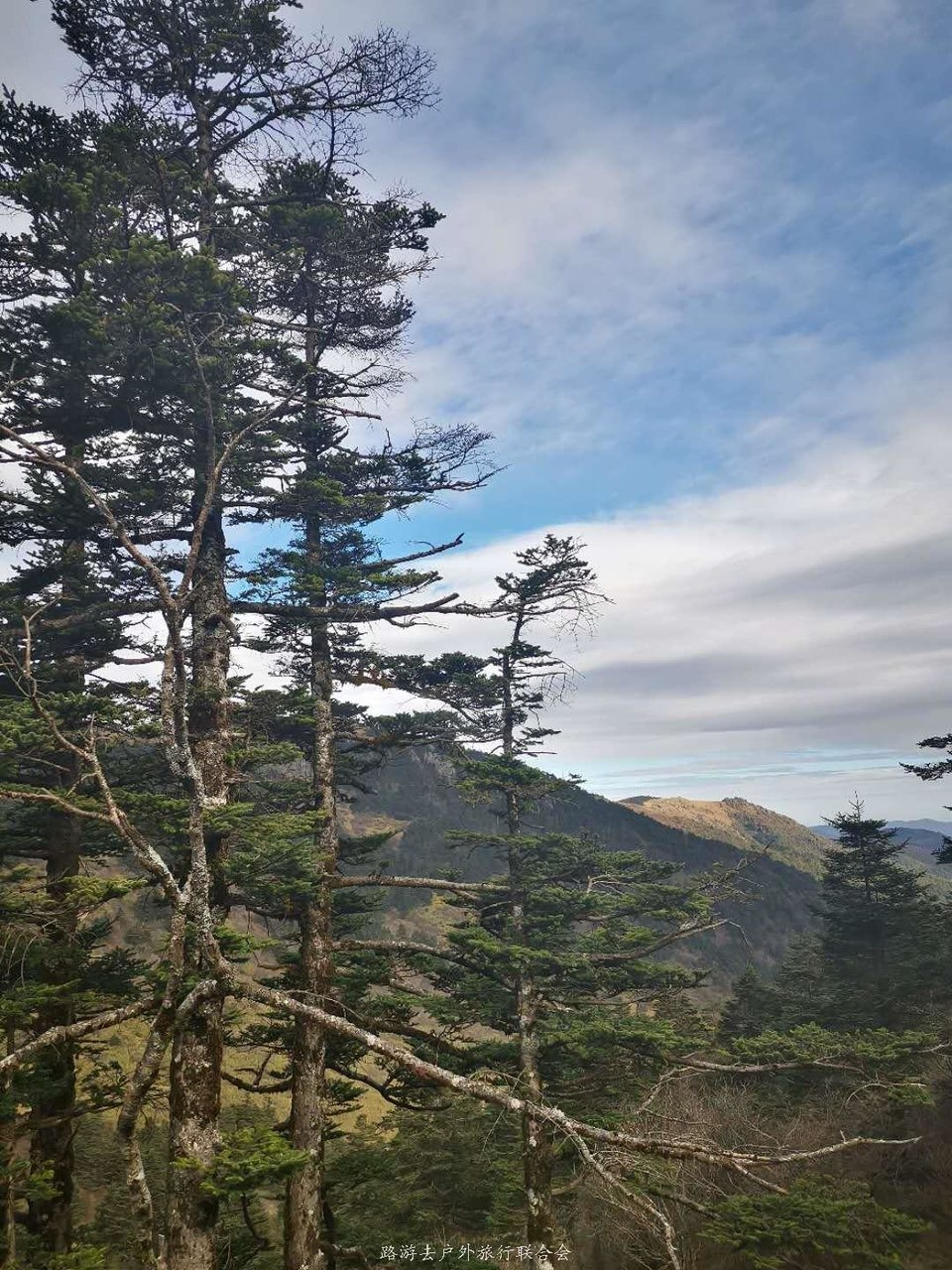 _2UxCLuIkEqW7gjvMiYgrFRssUFUlcYdhKRIrL1tWiYu4QnPJUXZFnpaaEEGzbmW