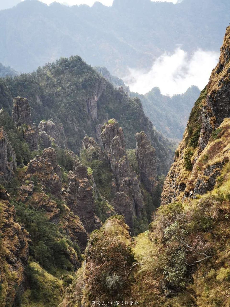 x6VzQe1w7knhfxqgQa7sz0z1yc8LB3HVpKNlvboiP5qKIngXdq9mlvHHGDBmt-N0