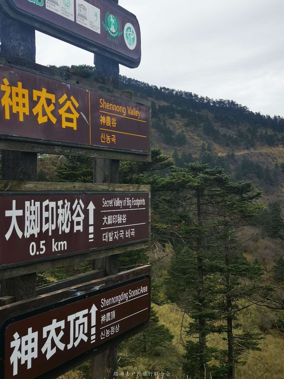 TwkxOjjXc1pb7pqzNAl3s_SsdaCoeNDCIGRzawr9ySmy8395VQz3Umr2AGoM1sz_