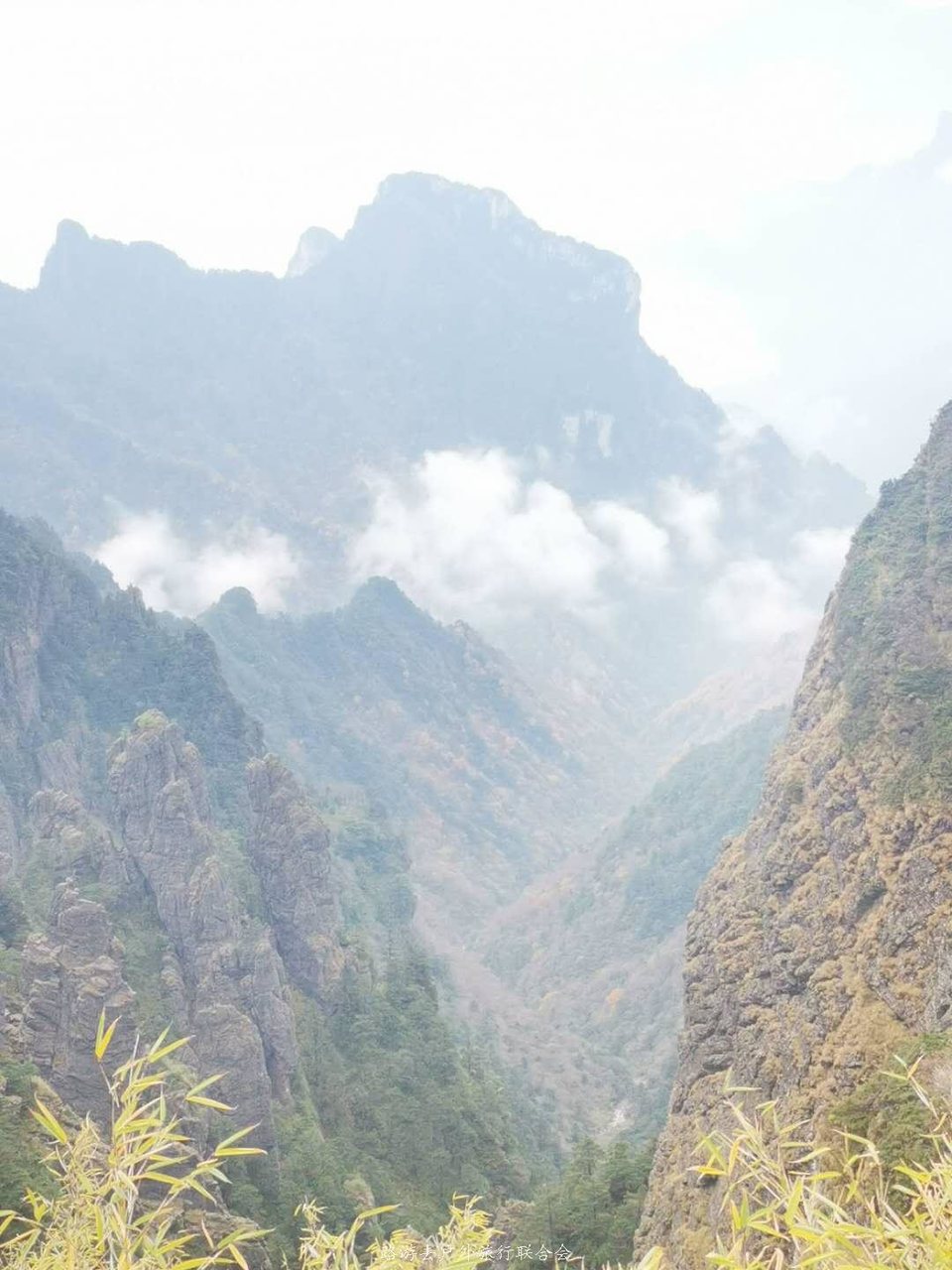 8_Grq1cmlJS8-WxgfiOwFvcQqUcaOIZBCG81CbqpdSl-safIkndbUY5WVGs4jHrH