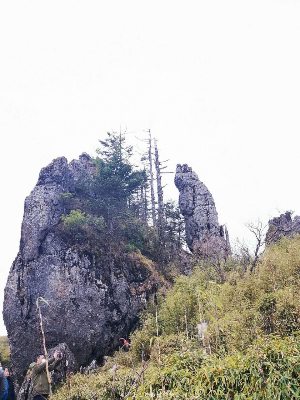 fWCkPqsTh1GUtSfOTFe9es2j-psqKjF_Ve36LqlLujjPg2Hca130yUDaSH3qnCCa