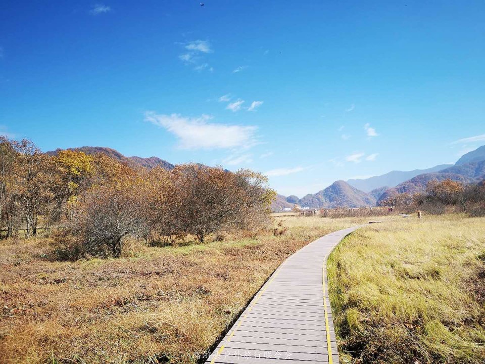 hD1cp-c98AlTNSuw28lvArhf2NtLXQ_Amh_WZH9xFl5jkyt3mhI8bK1xMXCeoodV