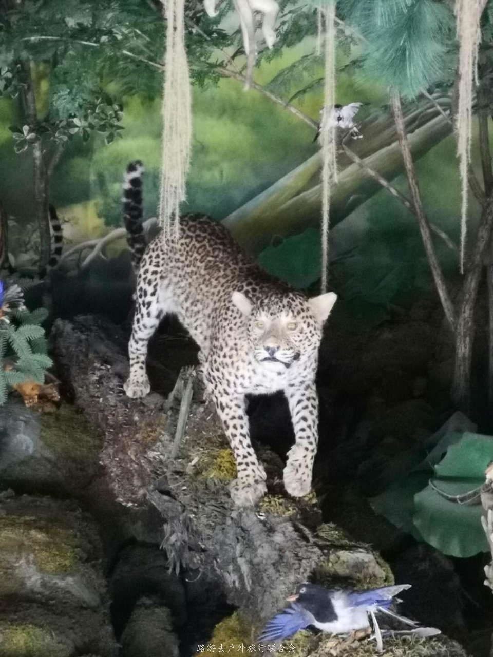 RxQW1nx1YTfUQPicfnPI6BH_gkeFkCE5iY4OFUnKFUfrft1uVH5ARVFtmq08hCr1