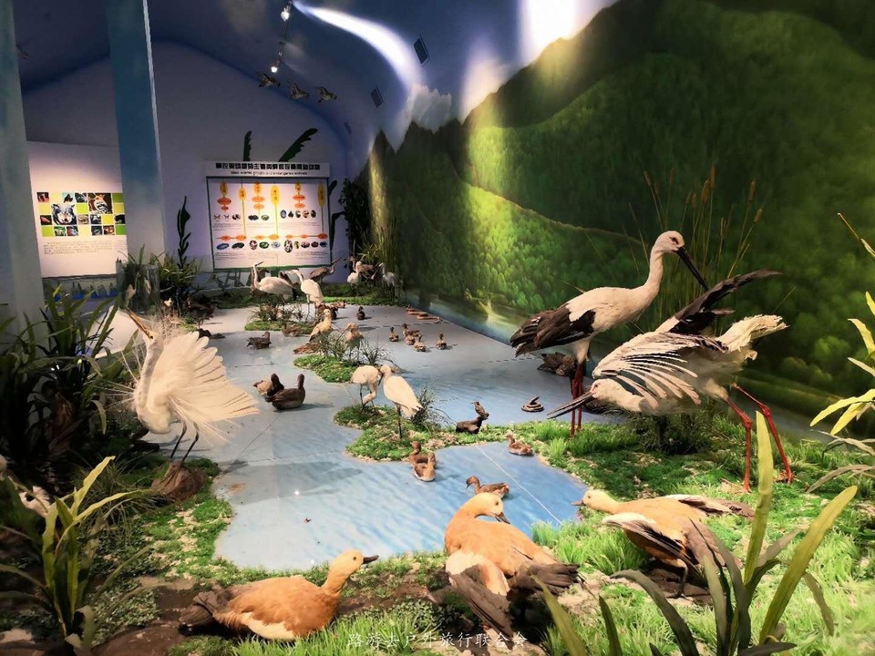 MdfM8kR-eabKe3DOdpMTkOiDKUm394BzuV67X2t_8wxmDblb9MsHBLr9iRUY9MM3