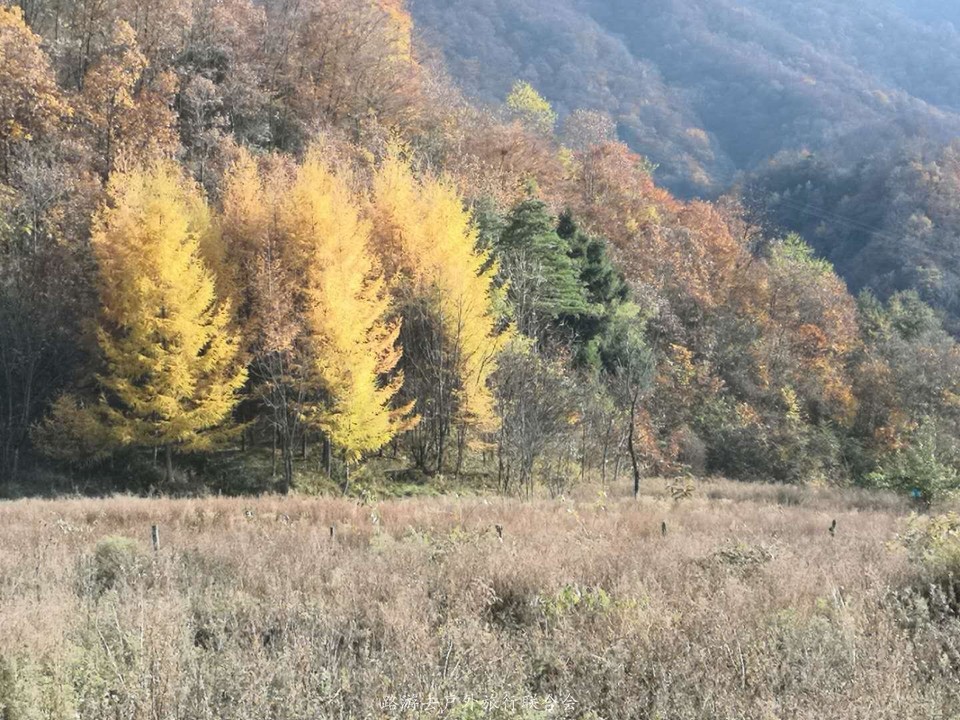 IaRZAzYtnlrMW05Af8jGnWpR1OhrF6QDHDXsFZjU0pw_Ik4DdZDDY1wZ8tnS-12C