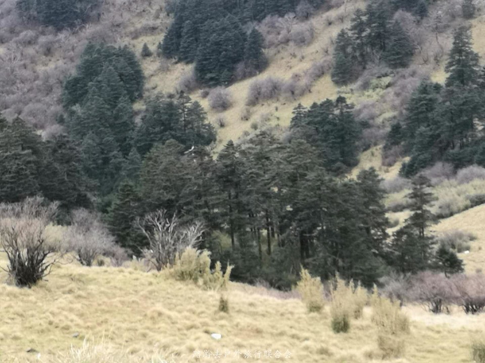 2SOQVgTwin18CIook7Zg3HgA8emfbayjx2gOziZf2V1RjvP-0TCDDPB2kBZ7WFUB