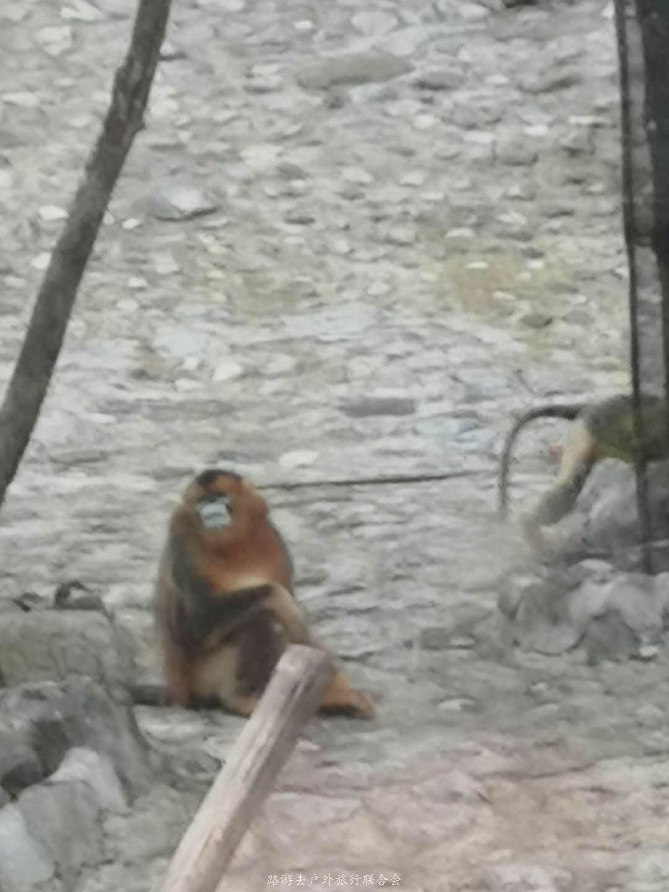 Xn8SxdWZ55P0XbcsDjivkV3oDtvygYxMauKQ8Q1ez36YBryKFq3yBKd0eYVBQln4