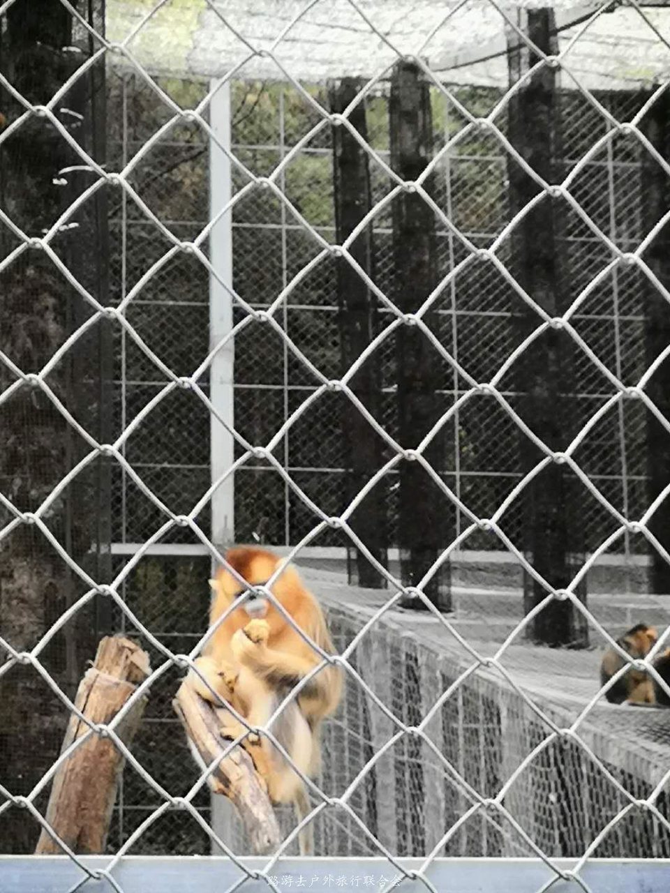 IyxQTcZhBi51wR1RmERupHKHdKIrdw8vGk8BIIQim2LfsFQcK-QGMeFfKebExZCb