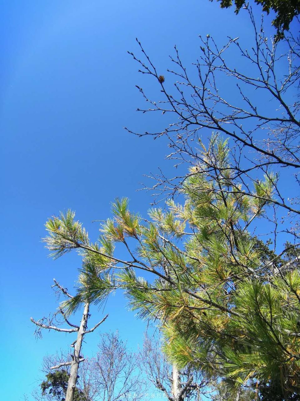 4p6Evxamdpx02ZeEn7VBsRrh4qIyqqF4sj8WAqmhs_4BxrPc17Cy4NU0qFeAd_vg