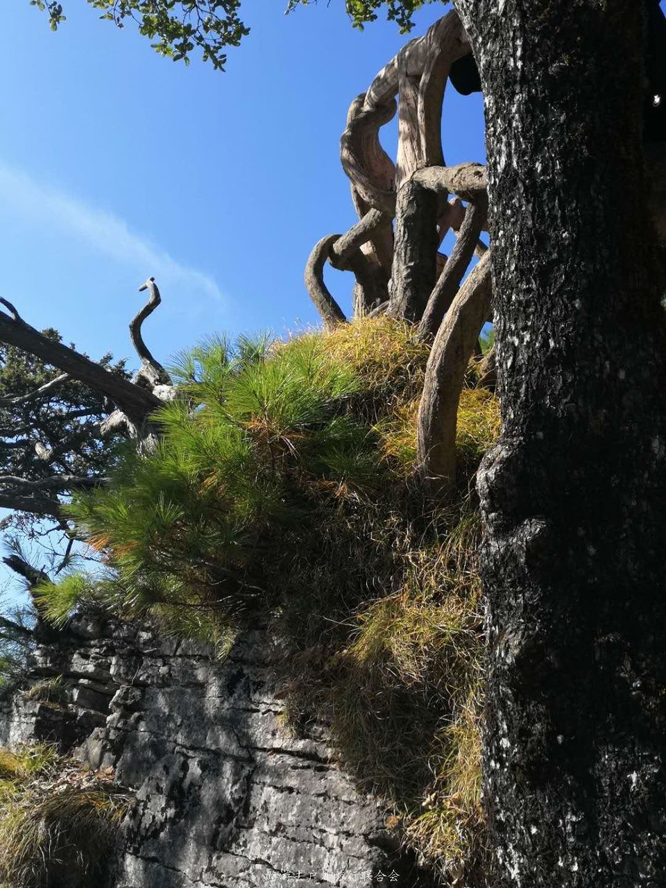 rfhd0usQd4reth11QTqNjo2gjSJ95dpjcgA1cT8aHggovlqnrZhDxNzPYpL4kAZp