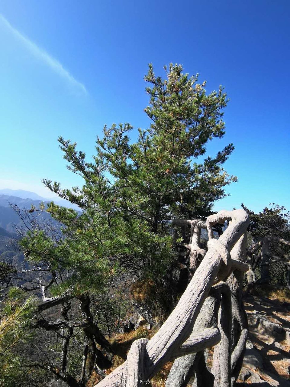 rJ_CwglNGXsXKpyqhaUQeTOxQIyTfnNq4fS4YXzzYInkqvfsGoL6IZPV7Nb_Ze2t