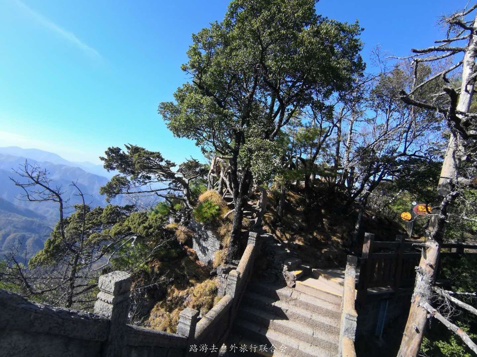 7P6ZOZYzaEyQ2oyclS_Y9iiBaXSg9-G2zGiSM26cvmJFYxJLhXl6pYG1UYig2iXi