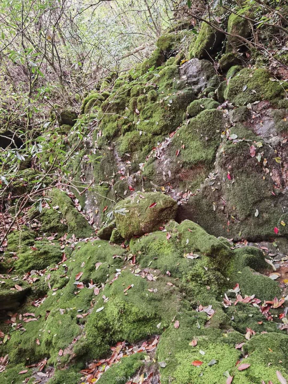 hfPZPf7TQluYJ_JOkJB4b9rThc-A_73QSu9cAXs82-KHVyCBoRde4Z9md2JBlehQ