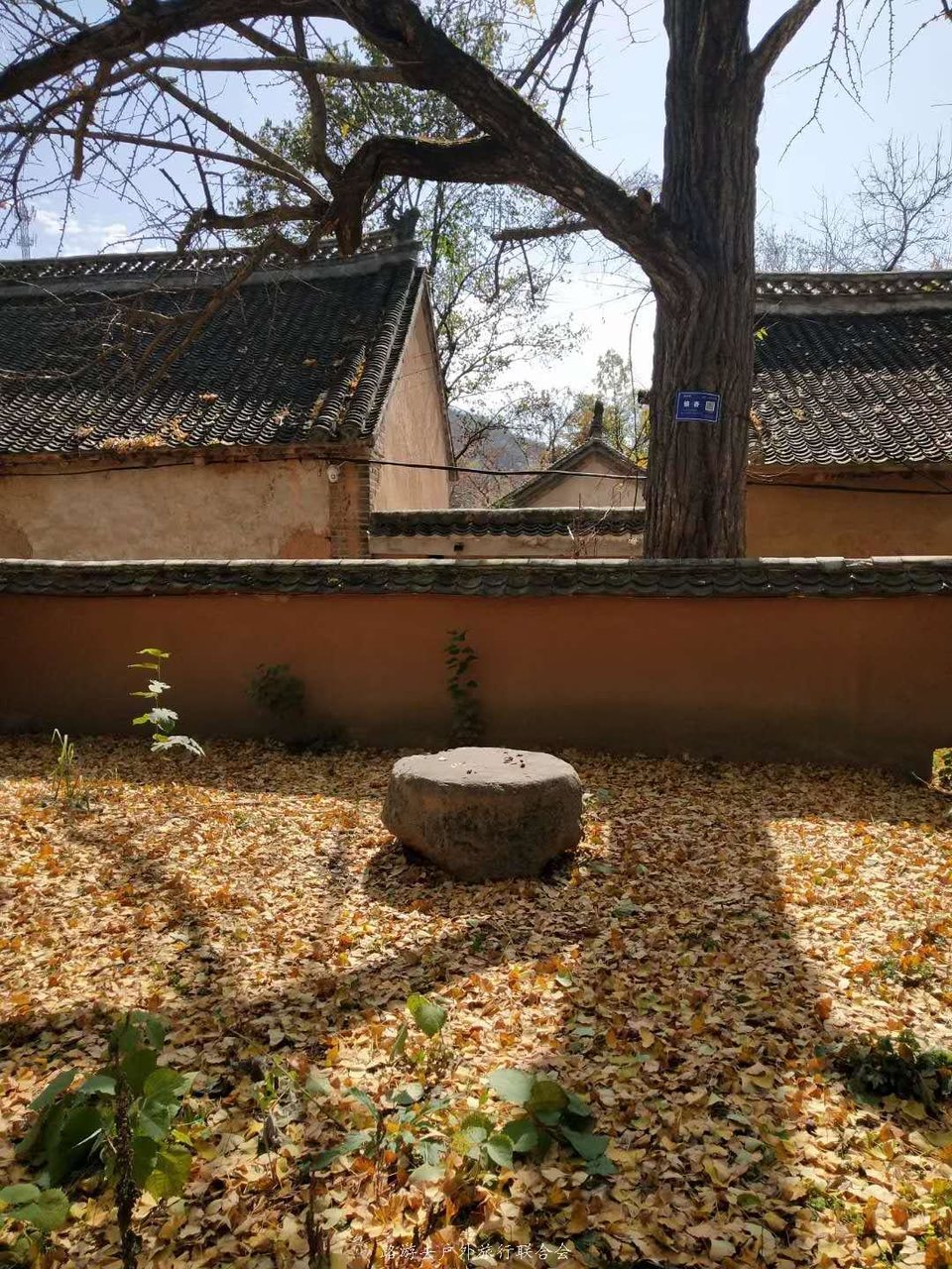 ppbimNTouSyix61h5f6jR0otGNYpZcAw_tVXHPLCu5iYQuWqtl9M0gusJ3mBSTLE