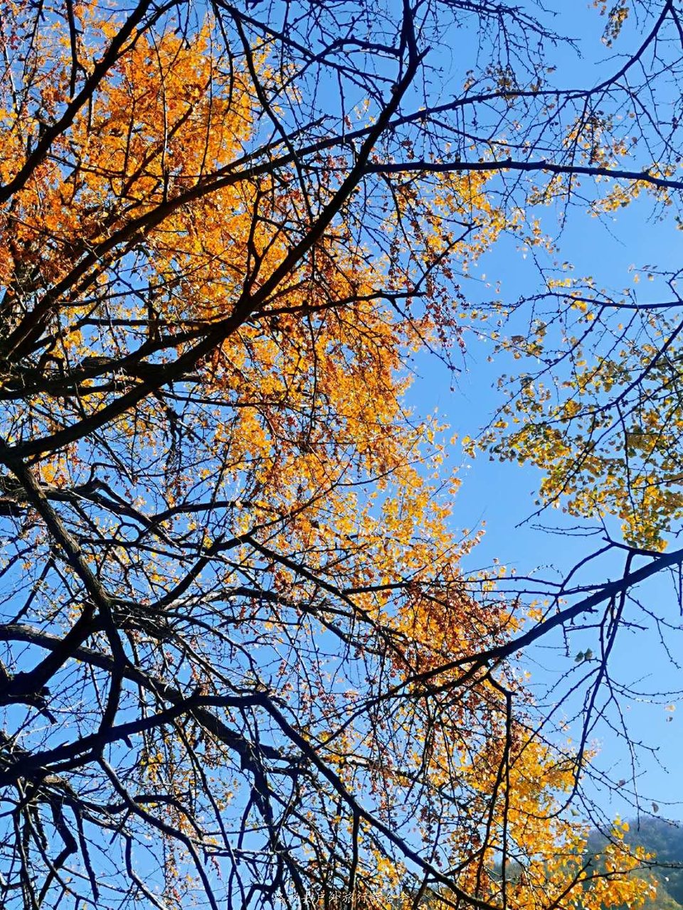 -3BuCe4nRCHby5rVTV59YgmvybcjY9zrDxfotzLi9oFa_usWdhWCtYj7UWOXk9nB