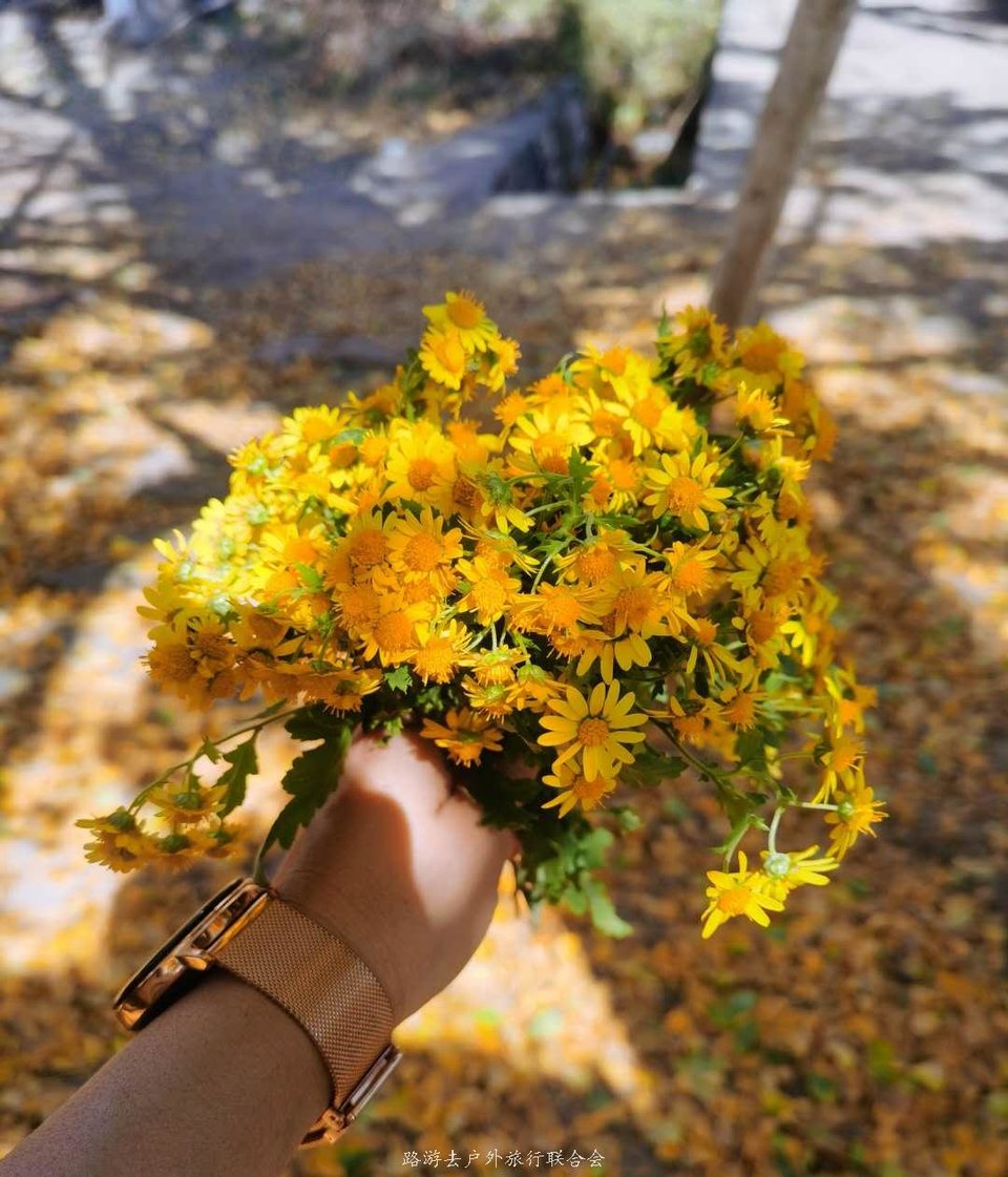 kIuhS1wOsxhZ82GLM6qnLEqBpjm0oG4PdPl2tbsrST_ZEYVJJDch4p3wnEzBVwFq