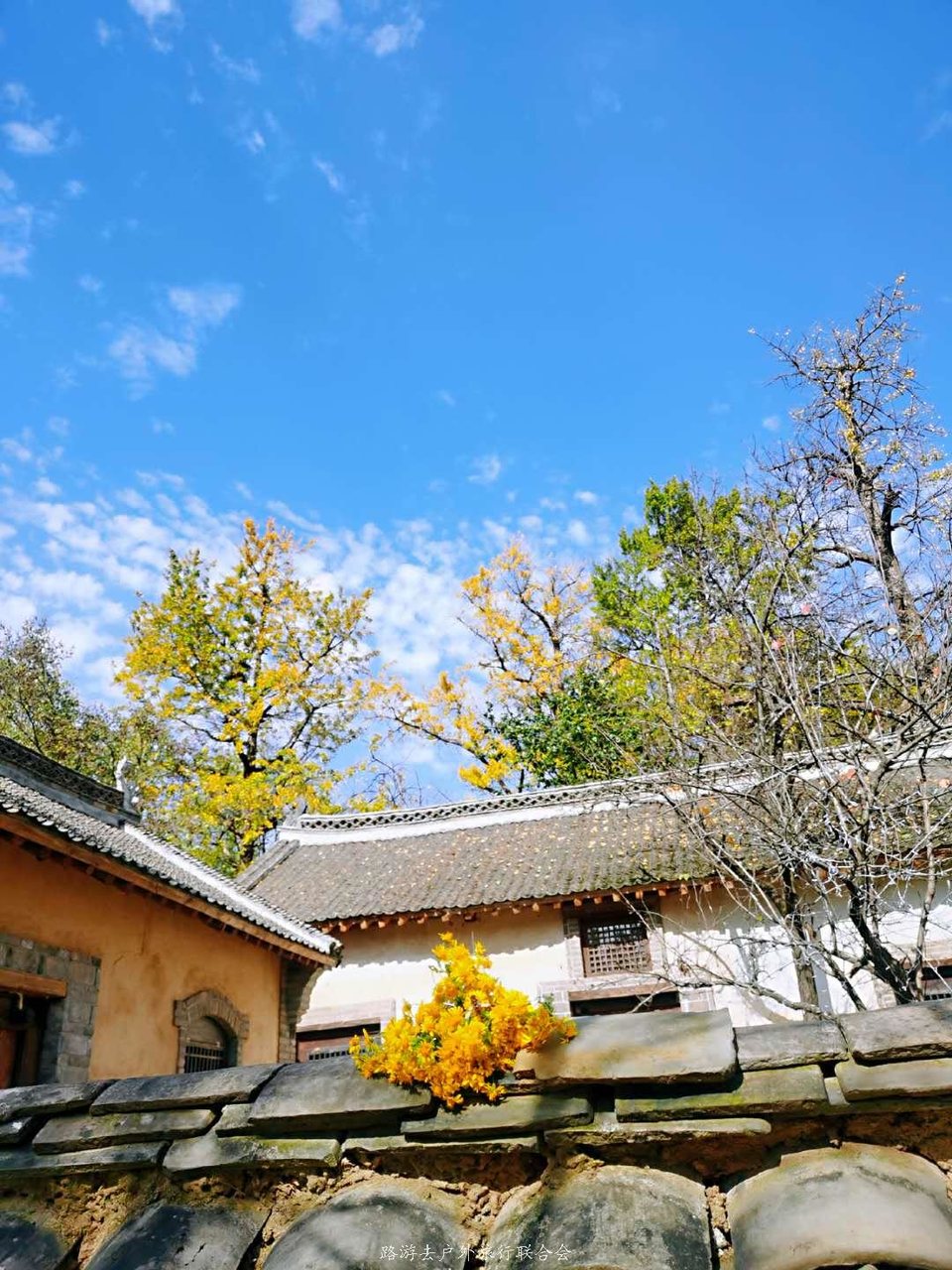 LS32M7LPibqtT-clpOQ09X1nwd1Z1Rc8UpgMDRpax6bUoG06-VjW2FJsd0Yui7x-