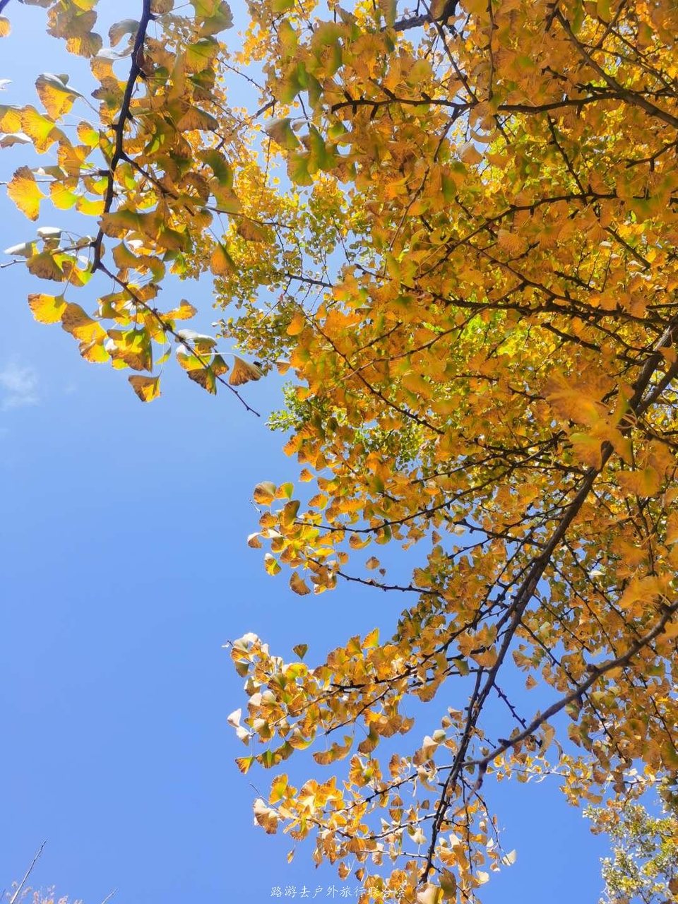 1yAQ9dPMau0DhCxvNrzU890UoxDsZLTMyqdWQLB6SNPZkVOqtaOUjwJY2v5Xknuy