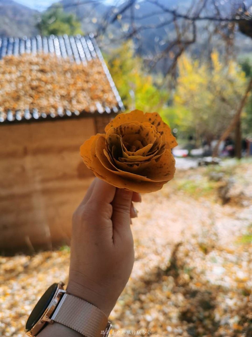 mIwuGpBVmSdv7eW6eiILwH7OdulH7vBPQ6yxzCjd0BPpWWfBSbAzO57_Jf1J1GEq