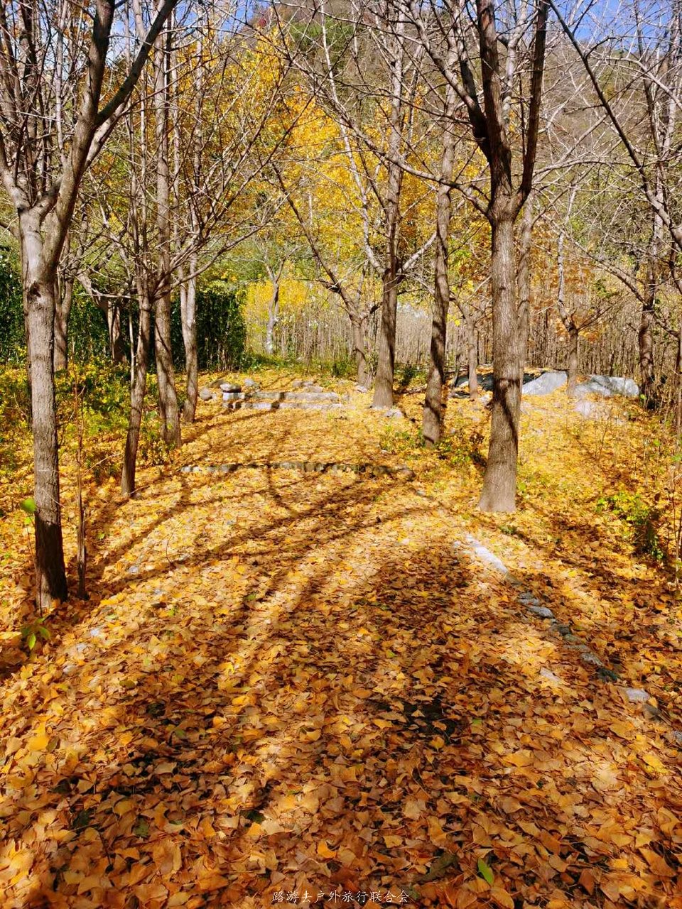 SeZ2K3-k7xY5ad3Rq1VPYjoHp_A7iA0-X7uwJ3f4yI15JJVkQVU62myj26oDLq4l