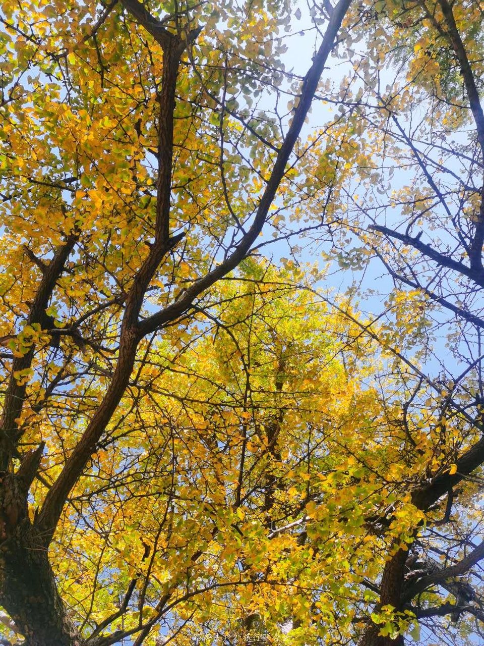 OwxjP4vtM3BP6rU0tRI9vAgsR0dzxqx71HCi_eUM-TensMZfewYsq1JzSMK5yGtO