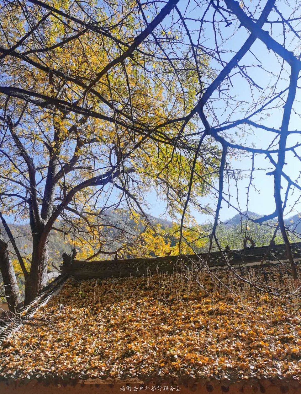 1wRoSVvYs1SI6EXJKT8UGw5PCaH7pzuVDES4gZMZ8yulwnQTdpUKItZo5lws2kzx