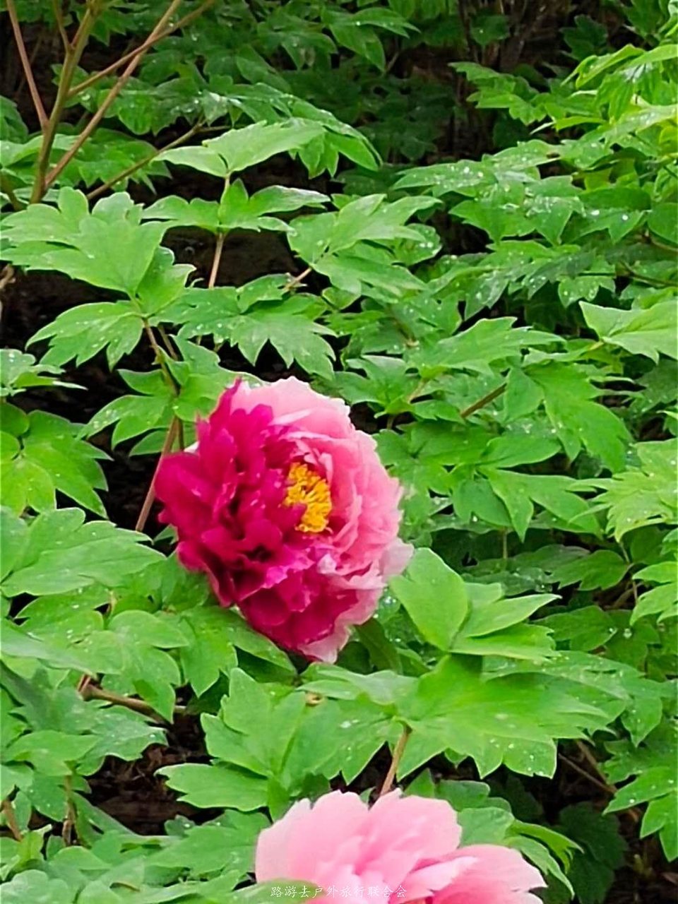 zME0DuHy4Wii076XG0d1N5xDPqMLf9s2oiebK6NpqHTJbLMukcTxsCeXFdPWzerU