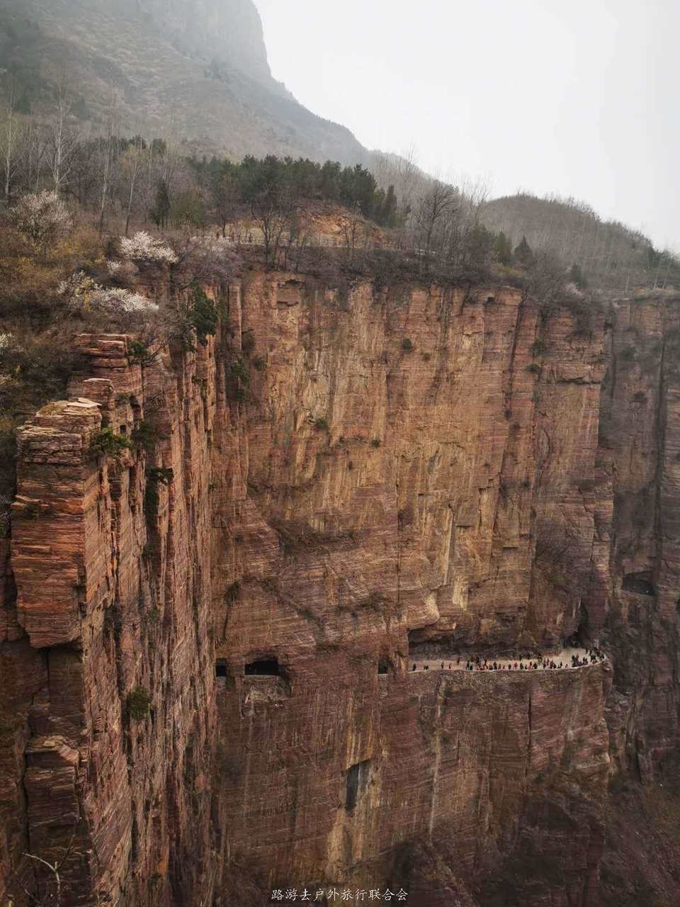 odks2MJnxE2On0n8d-4CD2fArgyANxl7fa7VUWlyhHFsnfBZROExZRlSzKvmkf--