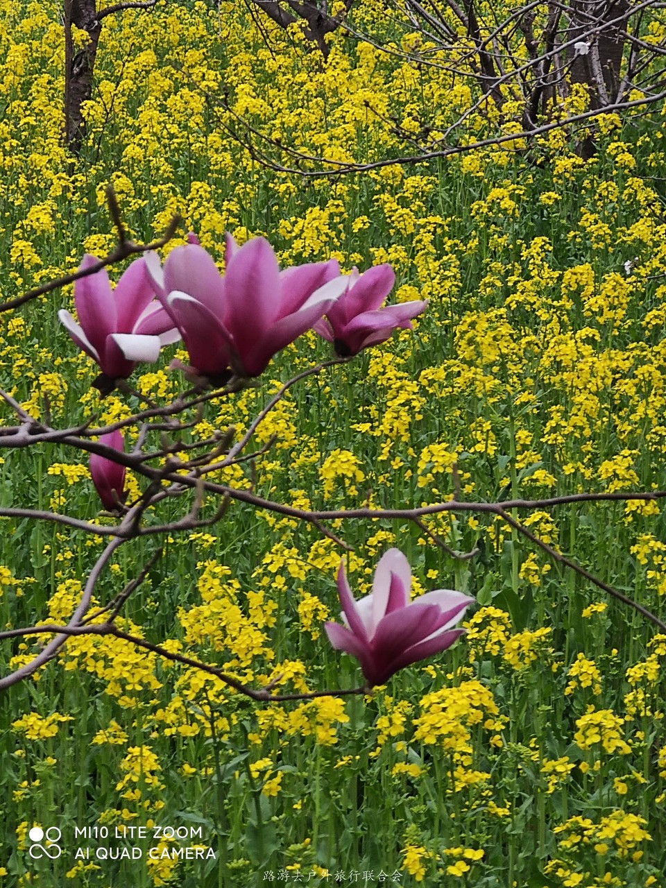 IeMp_ixzzNeubyNbpZxxUFNaqP0ekCsLCs3ElYMiQ20x44-mNRhDsWRMNDHD2_HN