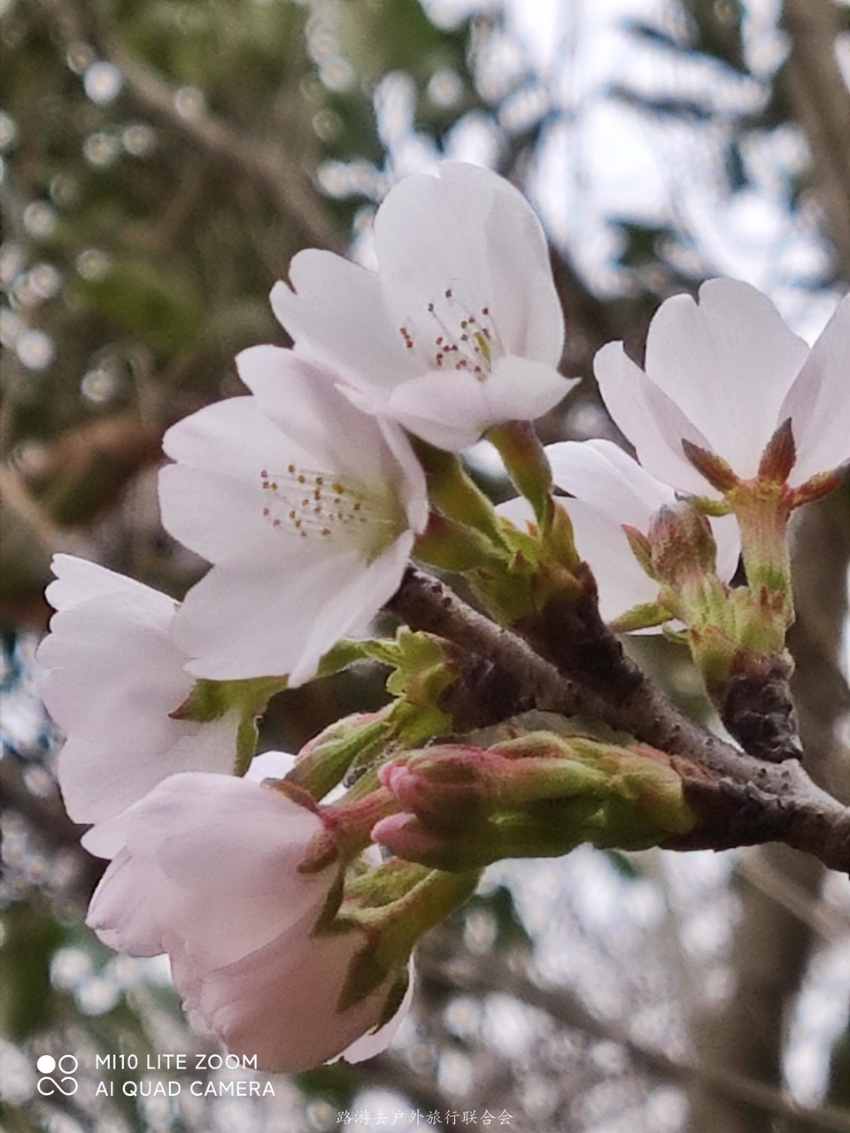 bRk66Aze41F1Km18vWrgnDulUGA_MrxrvzKqzQrIcaQZCdtOhoFlY5aTitT0vp57