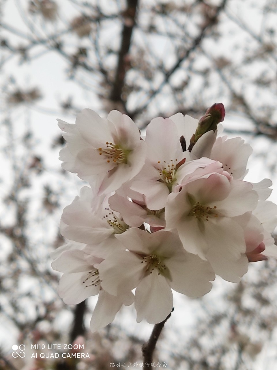 HRLVl6ecX2ud8WvCEpgDQ_A9jZM0GFjB8BkXA0vukpBBW_AU51YpuWOIRGG5kU4X