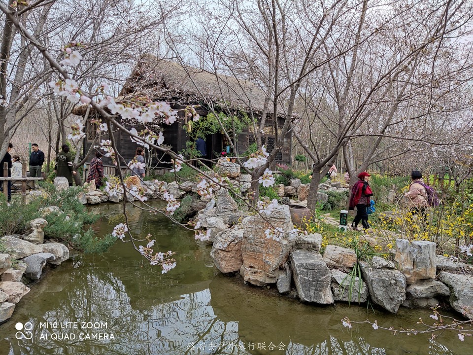 KMPB9UNJZfC17grtiYXHEpiBOUWRGxhwvUdRTqCk9MUjQOQry0OS_V1qqSzffD2a