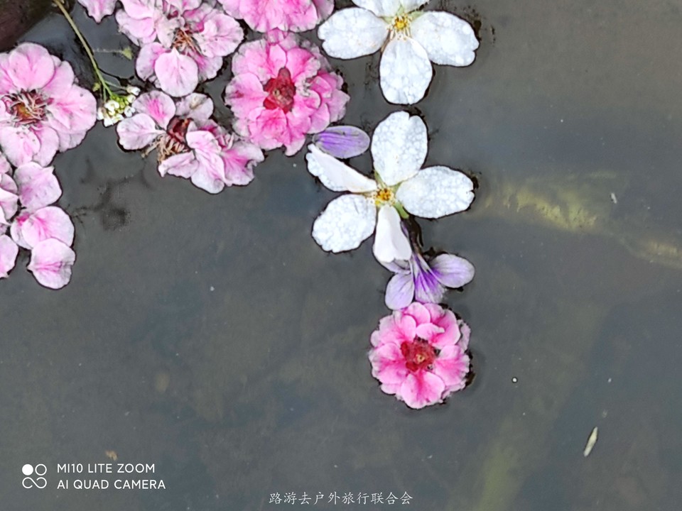 UWlTKi5woEZrLZjKmv69fx6t1ZoNFPHz1iPys4li5VCbJmN7tFDJX37wGT53zu7L