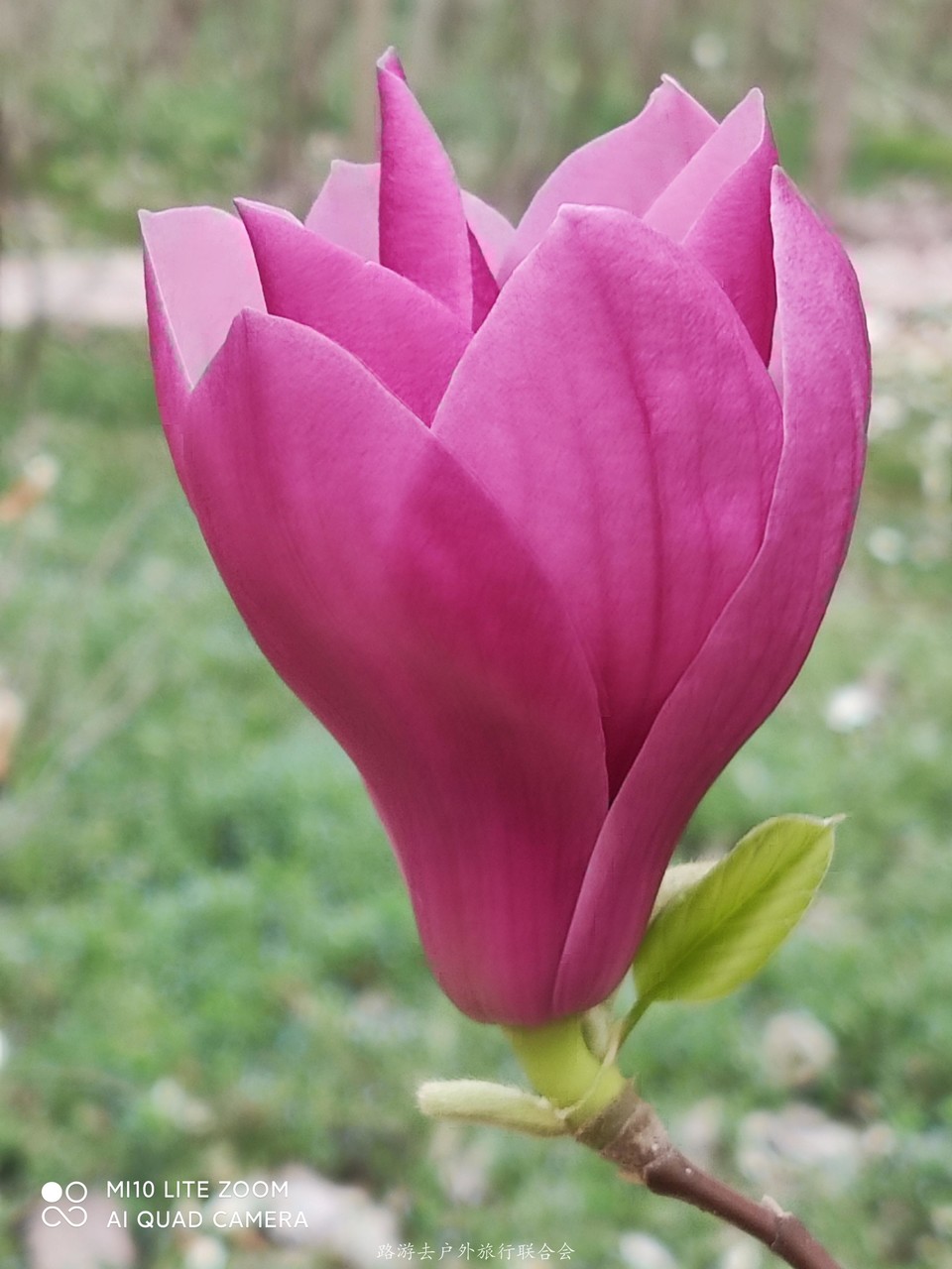 Jv0--8GrhQMq4zffJ0O2Rt59QiTSK2gvr9Ws3kYSH0dzrkCR0q9gNh3bZmyVYGS_