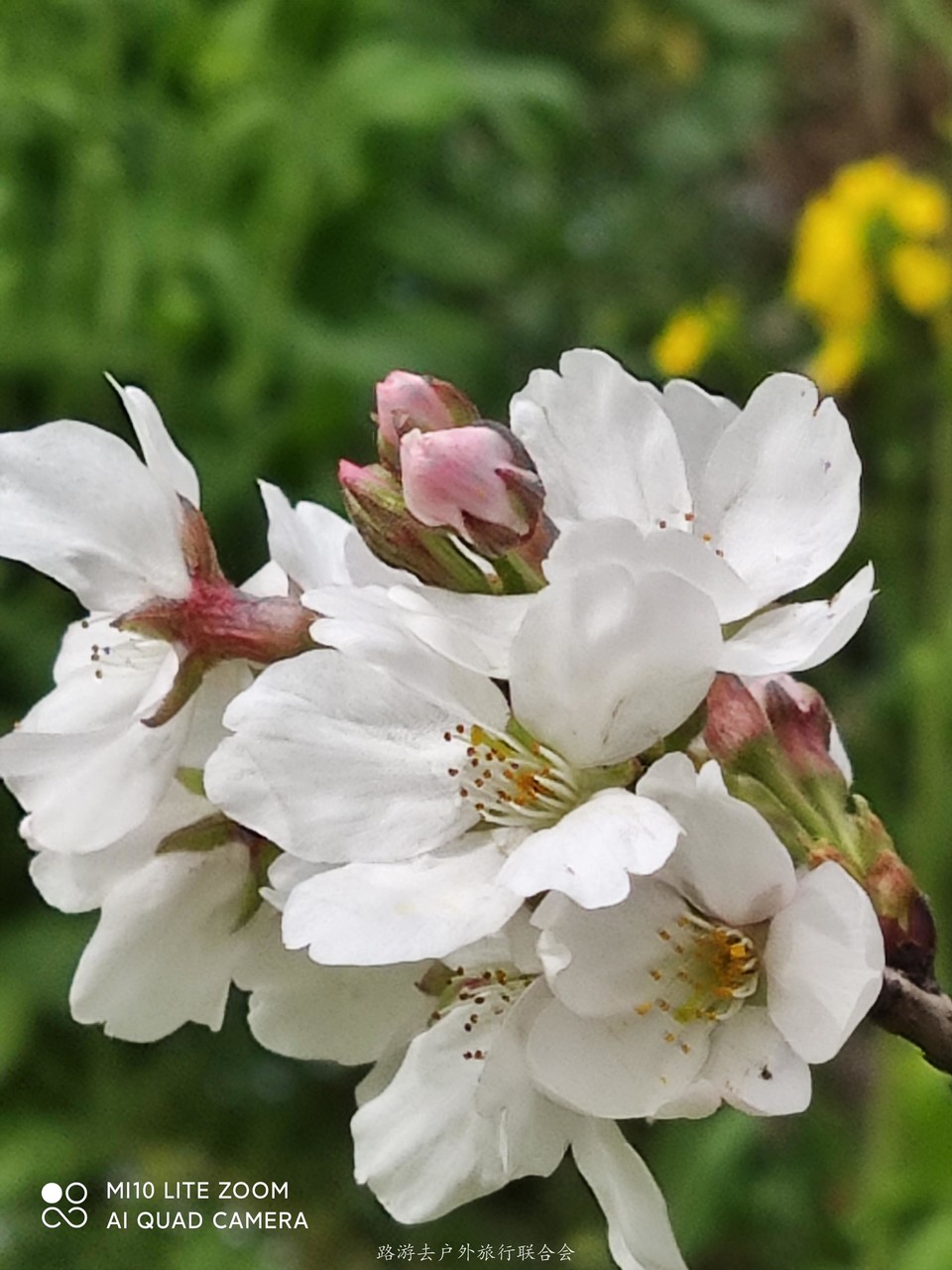 OQb7BcDCoW5UUPJhjpKlZIj-IzXxaAEsk8Ml1lmNF9afNwy705QzxmCK10lM7S9R