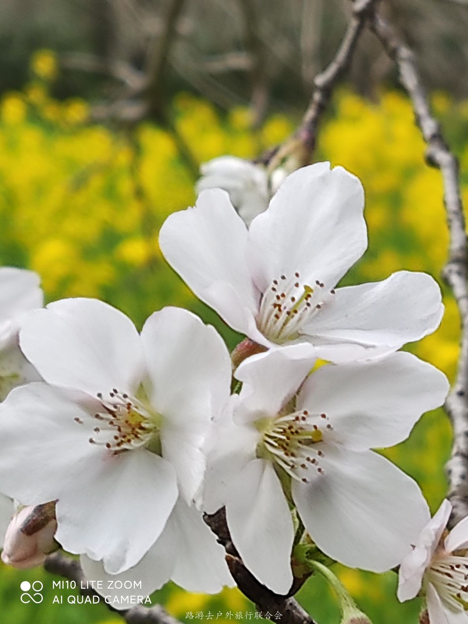 wcPNNSBe6uTOeZA0N7N3sq5S7WarfvURJX6775JouT3htm7glycn4WYWKpMvv_FW