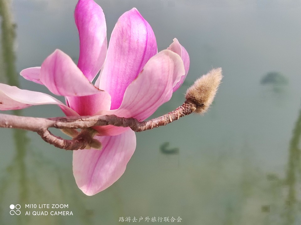 VefqWCgpIFckOALcPf4XuedNTIudWqeXwp2WVxsDxLxjM0giJfK1mHMTfLpKbw0z