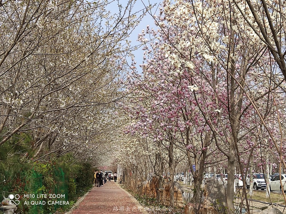 2MIbExNhHspsFh5A5cerZMklZCLShm-al-etyI_IrjddUn1DZES4tZKJe2IY5HKL