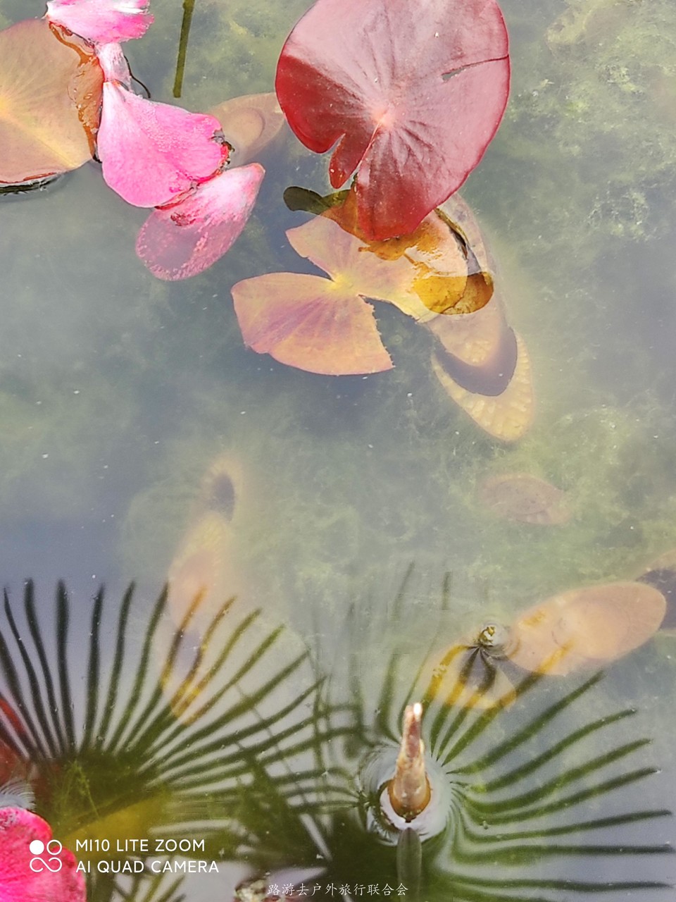 n_pLW3ohw-qbIUfMeuvFPJDDiCZrGvjbQZVStDtbEoU51Z2Jd8tmlbL1VIuIUAWG