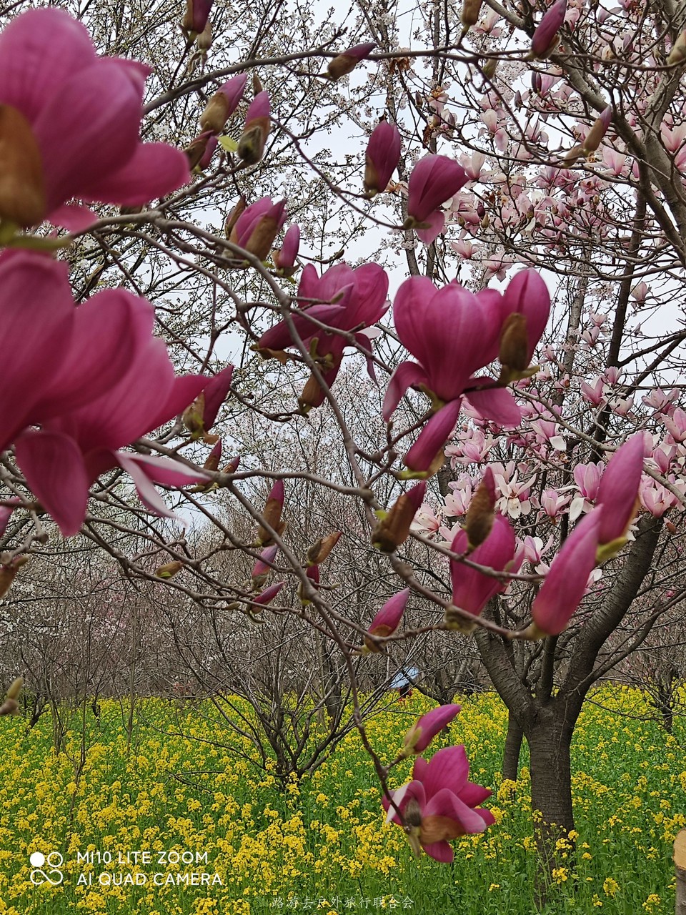 PKEJfl-II8DTCN6O44WUXp4DfgxCmuECyhQIiGl_aTTxDyraIFqiGTtRbsr8lENE