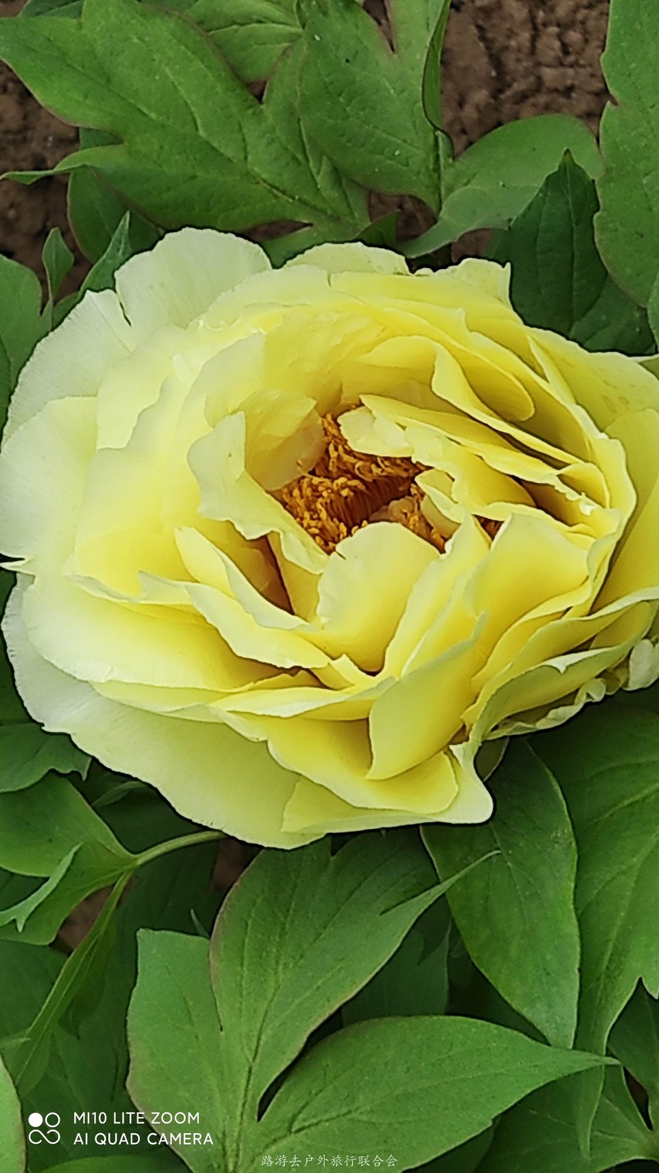 d2UtcPWIgbksdEhiwnjVlxjZSfPFhqlJ8KkxYiuda9pWJIAmaqxk6pUkHaqcMXJz