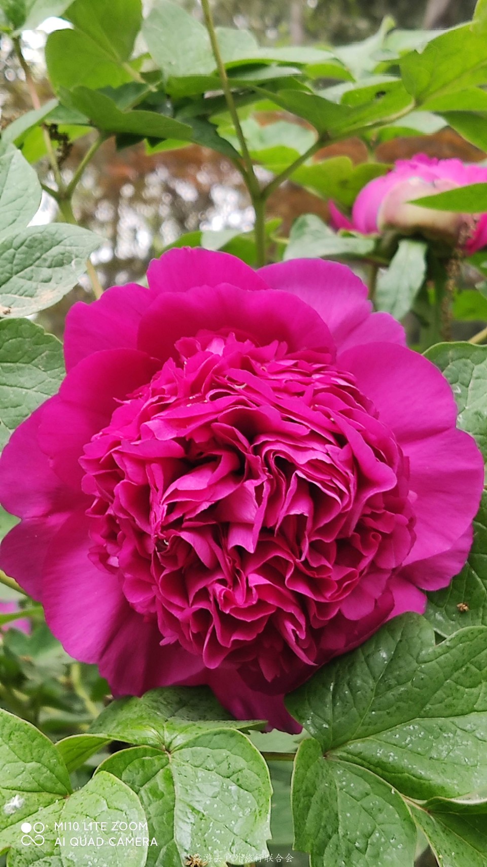 oWtH-nv5umjXSMKWTk_J2C3JsJmTo7aHYieJqOs-W6PlSfNmmJlP6hNSXiX3ba-w