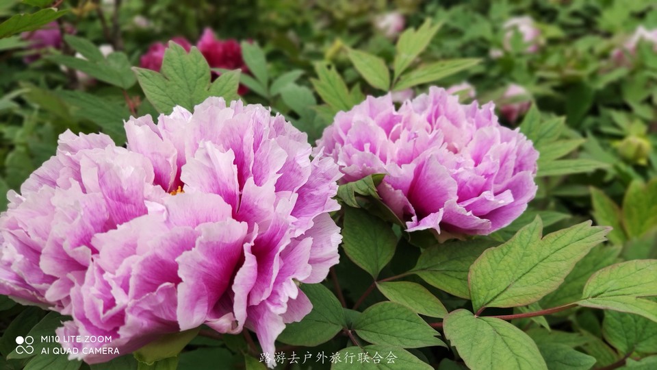 K8Q_Qa8J3_gxNG6Pl3R0zffF5S1E1oWnDxYVkY162MWfBZI9ZT0iuVDzZBDUNqa9