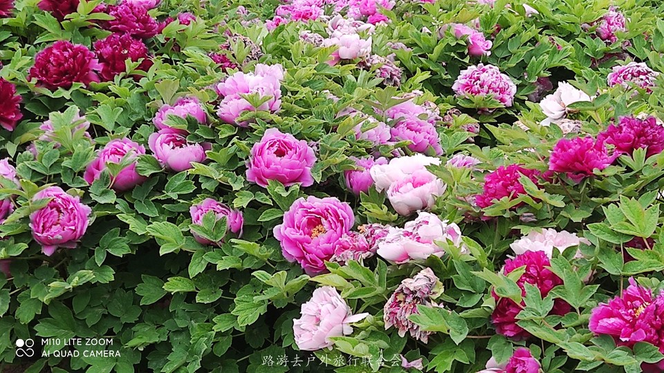 LVhs90FGKRkTDL4kltG4cIFtL3-KRMRBWu-g3qZS5oKnsOOBUxwSyIrj6AxUnquJ