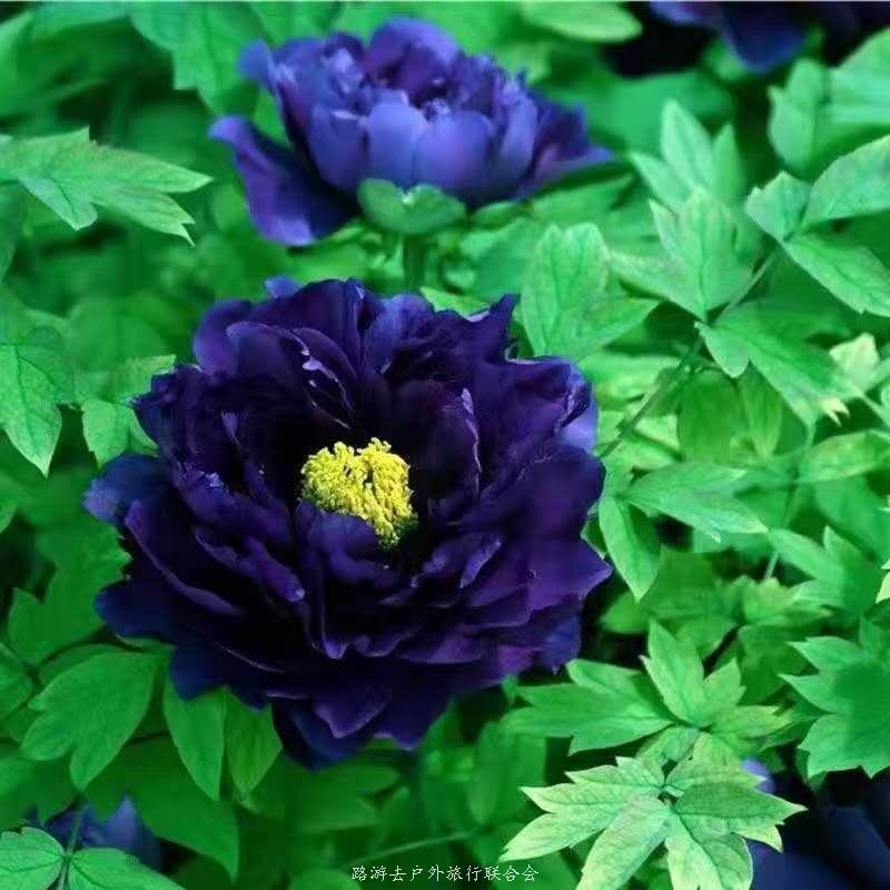 rFaAb673BV2lobOS6O5rz8F-XqwHZ0rnCEMHAeCyFRkRPno-qxHQix5M4DyL_N-W