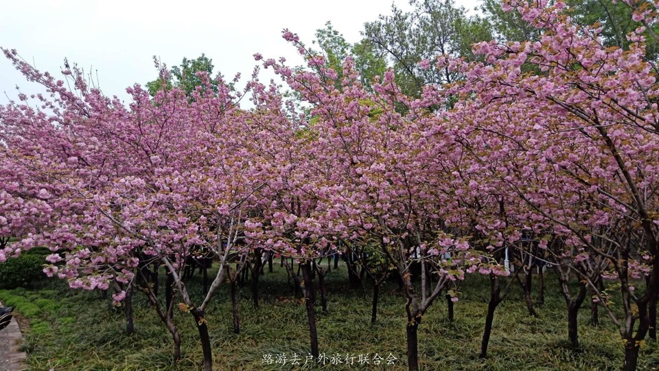 t_oiWrDMGuGQn61iIRB6u9CcUVmDlko4ZZcN9YQ_Dl3ZWnrGOk5kSXVfNlE7B2kD