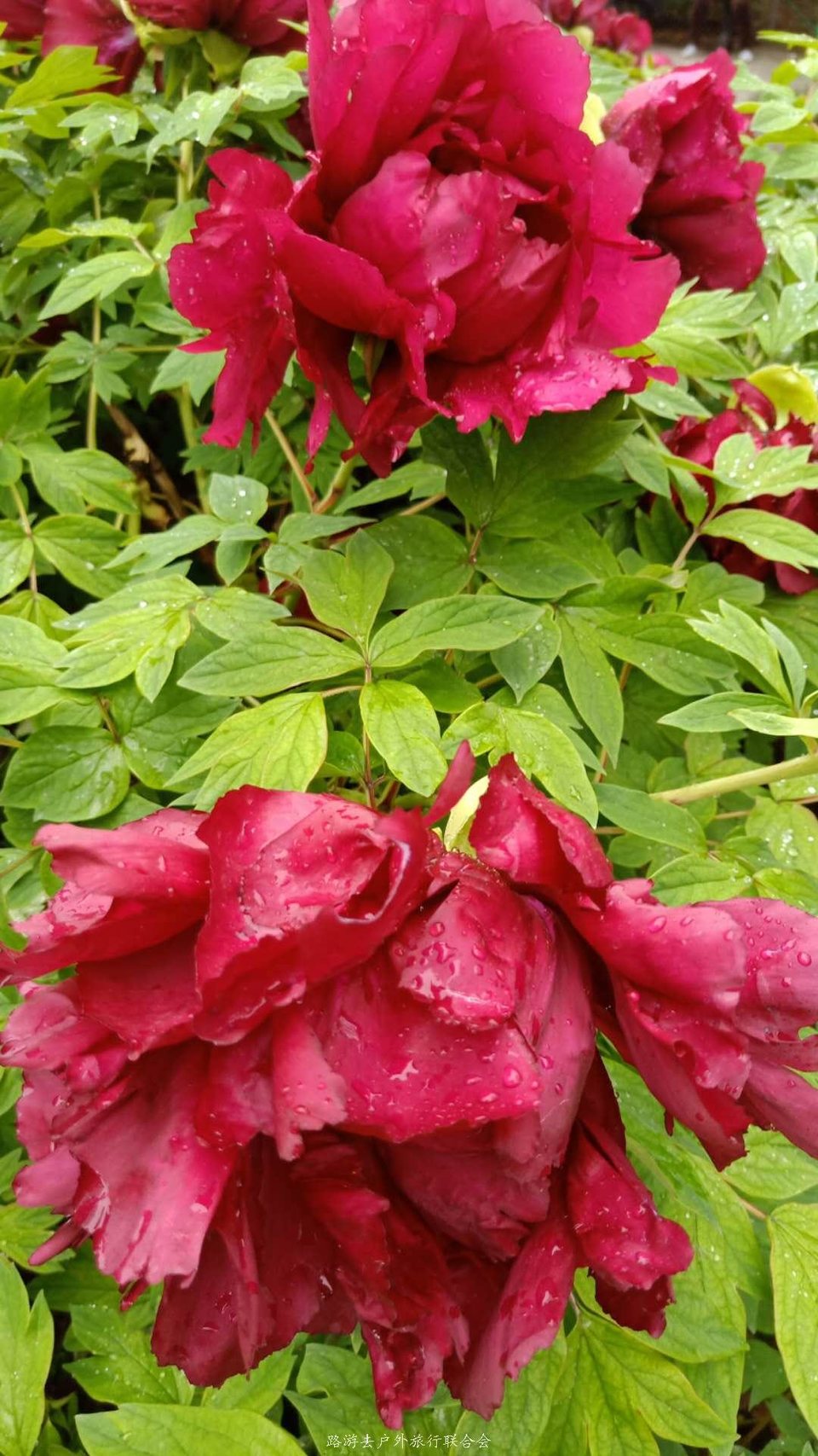 iVPeJxQkZApXajMULCvtajv0Pm_ZFbytJ4GkMU-wyMBiMBj8EleLSgRj1lML3qSQ