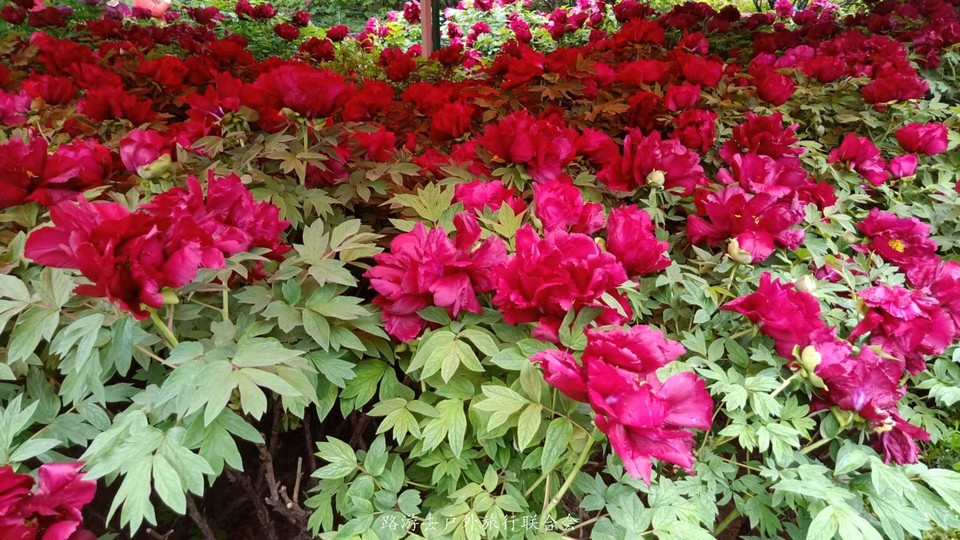 UaZ3huGyCg9xknBAvRKfYrWWda36zf8JI4RQRUvkM4S47Mibbcuh6RXU2W7WJ1Q8