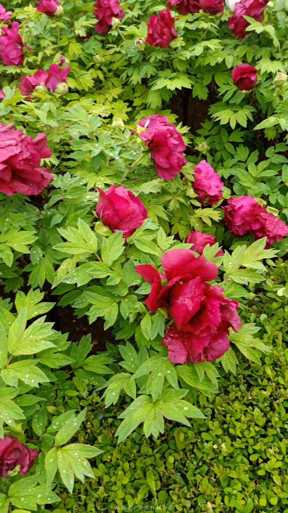 6D50nlJNsZ05pP97JVdyL6z9k2xHhkz6fgJeeCFKBj2pbpQxaLmrRm01SJuIELDo