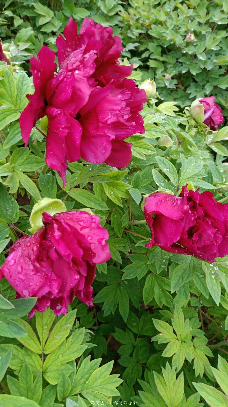 1baJB5u5oZ8x1dqbnbmzDGFqAPoN-QjR4jeUzIiuS6RpY3L0q-zQW4yp9PRl2Rn9